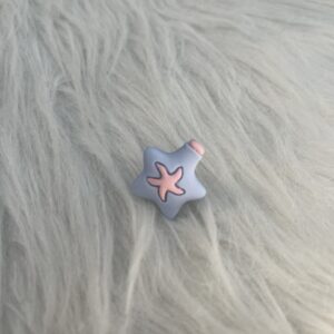 Bijou en résine pour chaussure étoile de mer